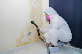 Best Forensic Mold Investigation  in Savannah, GA